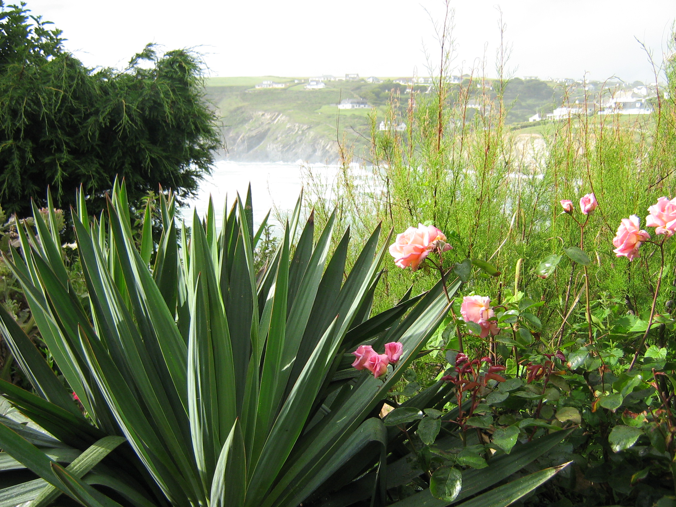20 metres from the coast